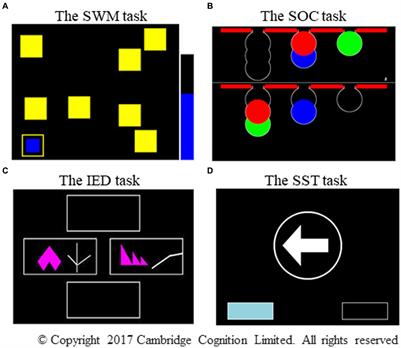 Examining normative values using the Cambridge neuropsychological test automated battery and developmental traits of executive functions among elementary school-aged children in Japan